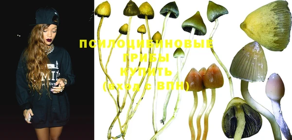 круглые Богданович