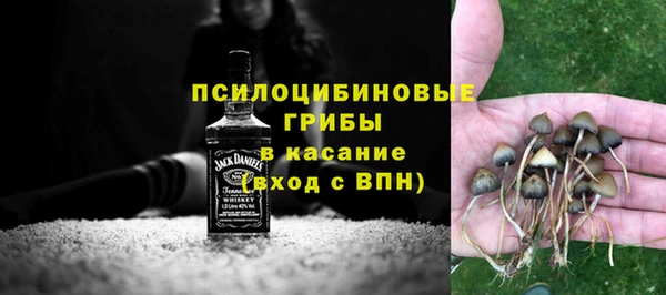 COCAINE Богородицк