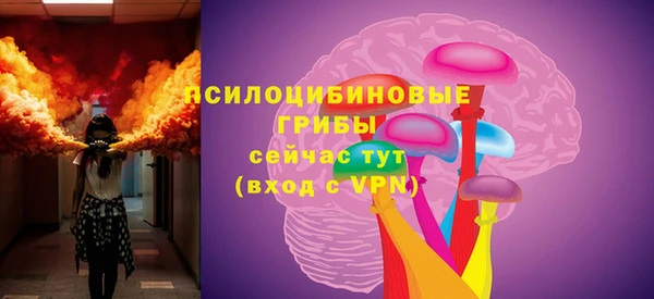 COCAINE Богородицк