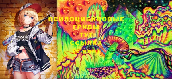 COCAINE Богородицк
