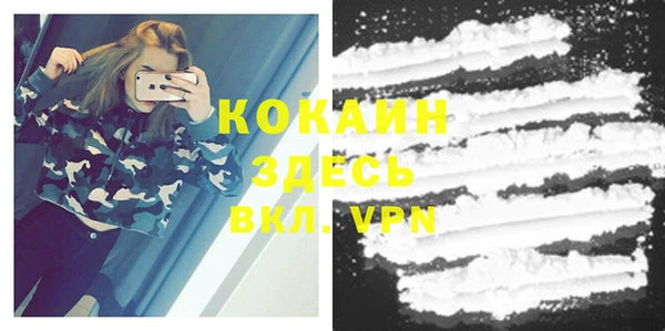 COCAINE Богородицк