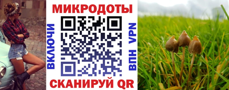 Галлюциногенные грибы MAGIC MUSHROOMS  OMG зеркало  Люберцы 